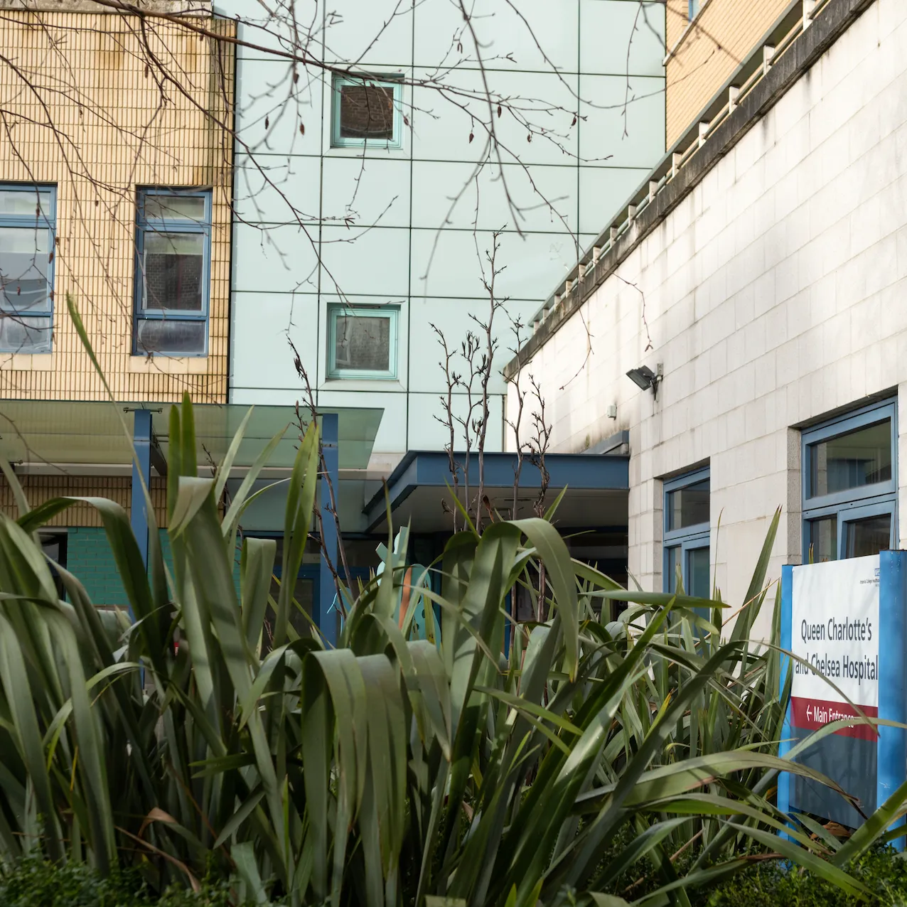 Clayton Ward at Queen Charlotte's & Chelsea Hospital