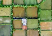 10 prostych sposobów na znalezienie taniej opieki zdrowotnej w Twojej okolicy 10 prostych sposobów na znalezienie taniej opieki zdrowotnej w Twojej okolicy