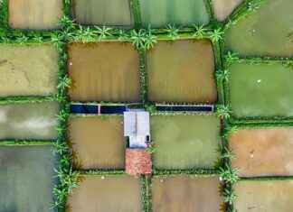 10 prostych sposobów na znalezienie taniej opieki zdrowotnej w Twojej okolicy 10 prostych sposobów na znalezienie taniej opieki zdrowotnej w Twojej okolicy