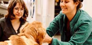 Animal Medical Clinic Secrets: How To Keep Pets Healthy Forever Animal Medical Clinics