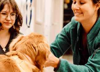 Animal Medical Clinic Secrets: How To Keep Pets Healthy Forever Animal Medical Clinics