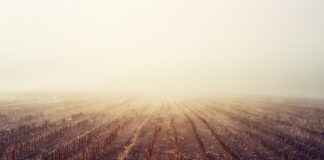 Assistenza sanitaria nelle aree rurali italiane: guida alle opzioni disponibili Assistenza sanitaria nelle aree rurali italiane: guida alle opzioni disponibili