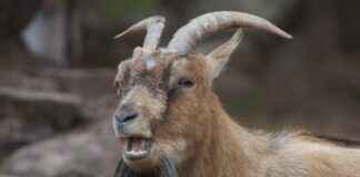 Buscas vacunarte contra la gripe? Aquí puedes encontrar clínicas sin cita previa Buscas vacunarte contra la gripe? Aquí puedes encontrar clínicas sin cita previa