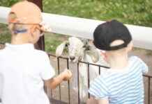 Cliniques sans rendez-vous près de chez vous : un accès facile aux soins Cliniques sans rendez-vous près de chez vous : un accès facile aux soins