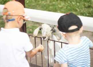 Cliniques sans rendez-vous près de chez vous : un accès facile aux soins Cliniques sans rendez-vous près de chez vous : un accès facile aux soins