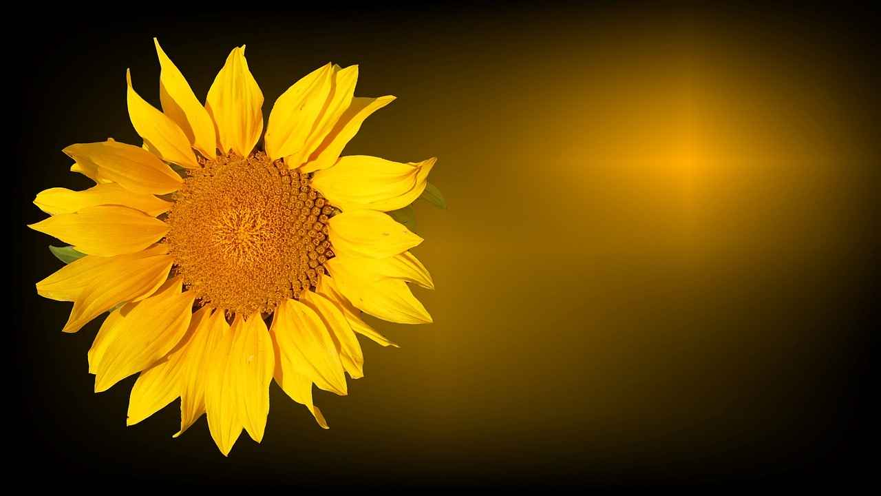 Capire cosa sono le cure non urgenti