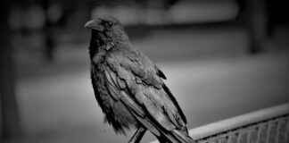 Cómo elegir la mejor clínica familiar para ti y tus seres queridos Cómo elegir la mejor clínica familiar para ti y tus seres queridos