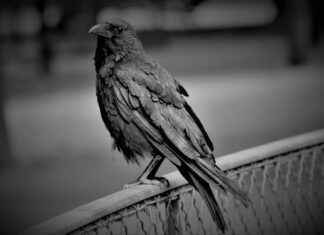 Cómo elegir la mejor clínica familiar para ti y tus seres queridos Cómo elegir la mejor clínica familiar para ti y tus seres queridos