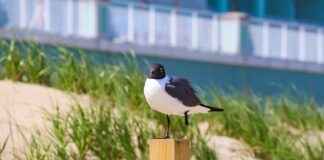 Dónde acudir cuando tu centro médico está cerrado – Guía para atención fuera de horario Dónde acudir cuando tu centro médico está cerrado – Guía para atención fuera de horario