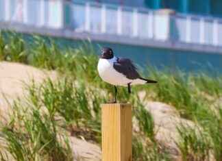 Dónde acudir cuando tu centro médico está cerrado – Guía para atención fuera de horario Dónde acudir cuando tu centro médico está cerrado – Guía para atención fuera de horario