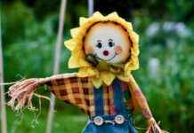 Dónde encontrar atención pediátrica urgente sin necesidad de cita previa Dónde encontrar atención pediátrica urgente sin necesidad de cita previa