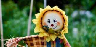 Dónde encontrar atención pediátrica urgente sin necesidad de cita previa Dónde encontrar atención pediátrica urgente sin necesidad de cita previa