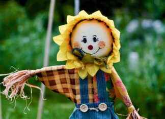 Dónde encontrar atención pediátrica urgente sin necesidad de cita previa Dónde encontrar atención pediátrica urgente sin necesidad de cita previa