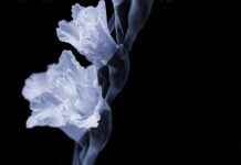 Dove trovare la migliore clinica per la salute della donna nella tua zona Dove trovare la migliore clinica per la salute della donna nella tua zona