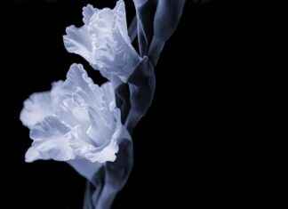 Dove trovare la migliore clinica per la salute della donna nella tua zona Dove trovare la migliore clinica per la salute della donna nella tua zona