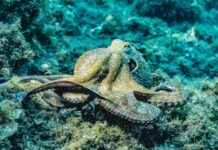 Etter åpningstid? Slik finner du hjelp når fastlegen er utilgjengelig Etter åpningstid? Slik finner du hjelp når fastlegen er utilgjengelig