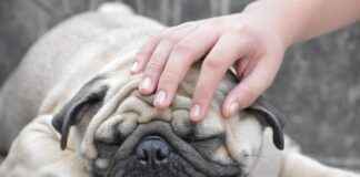 Guía para encontrar clínicas de urgencias 24/7 en tu ciudad Guía para encontrar clínicas de urgencias 24/7 en tu ciudad