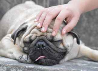 Guía para encontrar clínicas de urgencias 24/7 en tu ciudad Guía para encontrar clínicas de urgencias 24/7 en tu ciudad