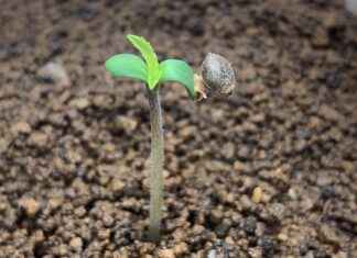 Hoe kies je een spoedkliniek voor snelle medische hulp dichtbij? Hoe kies je een spoedkliniek voor snelle medische hulp dichtbij?