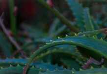 Inloopklinieken: hoe krijg je snel medische hulp zonder afspraak? Inloopklinieken: hoe krijg je snel medische hulp zonder afspraak?