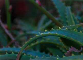 Inloopklinieken: hoe krijg je snel medische hulp zonder afspraak? Inloopklinieken: hoe krijg je snel medische hulp zonder afspraak?