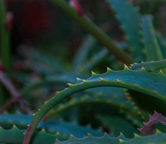 Inloopklinieken: hoe krijg je snel medische hulp zonder afspraak? Inloopklinieken: hoe krijg je snel medische hulp zonder afspraak?