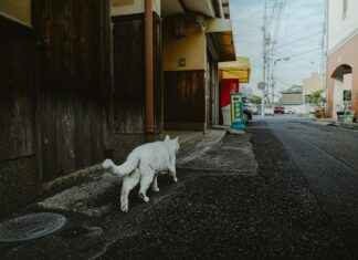Jak znaleźć lekarzy, którzy honorują Twoje ubezpieczenie zdrowotne? Jak znaleźć lekarzy, którzy honorują Twoje ubezpieczenie zdrowotne?
