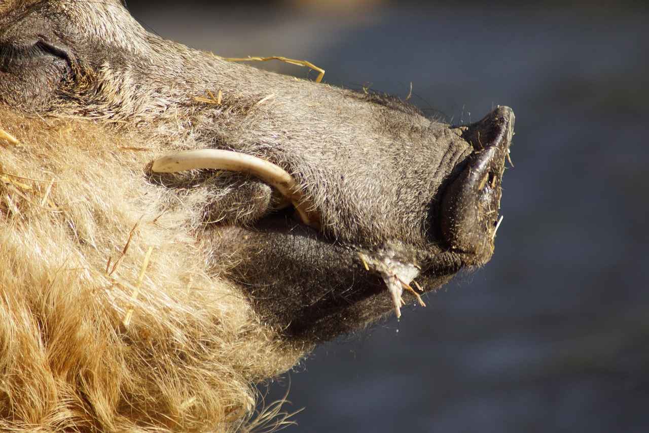 Kuinka löytää lääkäri?