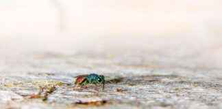 Kuinka löytää paras terveyskeskus läheltäsi – vaiheittainen opas Kuinka löytää paras terveyskeskus läheltäsi – vaiheittainen opas