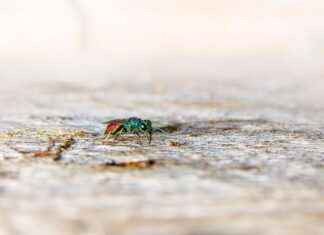 Kuinka löytää paras terveyskeskus läheltäsi – vaiheittainen opas Kuinka löytää paras terveyskeskus läheltäsi – vaiheittainen opas