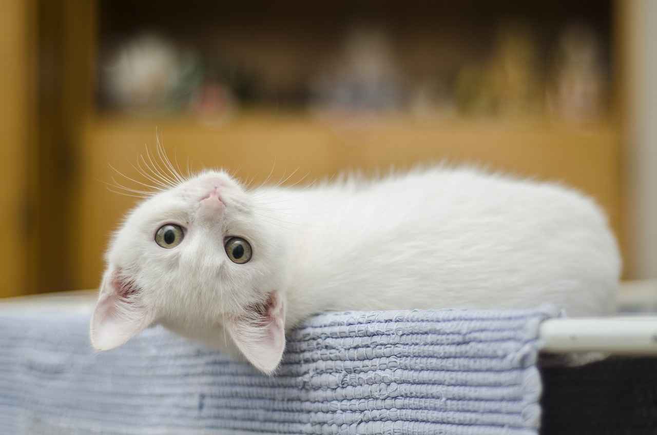1. Terveyskeskuksen merkitys