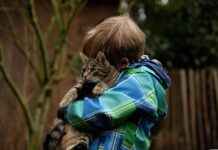 Kuinka valita päivystysasema nopeaa hoitoa varten? Kuinka valita päivystysasema nopeaa hoitoa varten?