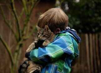 Kuinka valita päivystysasema nopeaa hoitoa varten? Kuinka valita päivystysasema nopeaa hoitoa varten?