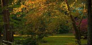 Mistä saat apua iltaisin ja viikonloppuisin – aukioloajat ja vinkit Mistä saat apua iltaisin ja viikonloppuisin – aukioloajat ja vinkit