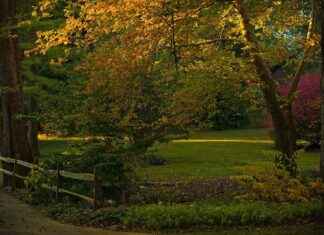 Mistä saat apua iltaisin ja viikonloppuisin – aukioloajat ja vinkit Mistä saat apua iltaisin ja viikonloppuisin – aukioloajat ja vinkit