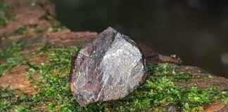 Mitä tehdä, jos mikään terveyskeskus ei ole avoinna lähelläsi? Mitä tehdä, jos mikään terveyskeskus ei ole avoinna lähelläsi?