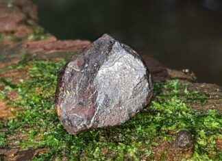 Mitä tehdä, jos mikään terveyskeskus ei ole avoinna lähelläsi? Mitä tehdä, jos mikään terveyskeskus ei ole avoinna lähelläsi?