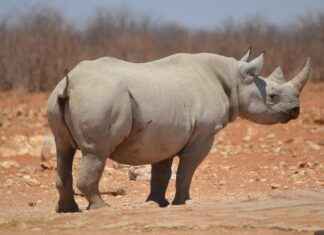 Miten löydät kiirevastaanoton alle viidessä minuutissa? Miten löydät kiirevastaanoton alle viidessä minuutissa? # Miten löydät kiirevastaanoton alle viidessä minuutissa?