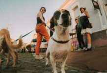 Notfallpraxis oder Walk-in-Klinik? Was Sie im Ernstfall wissen müssen Notfallpraxis oder Walk-in-Klinik? Was Sie im Ernstfall wissen müssen