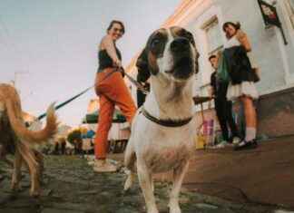 Notfallpraxis oder Walk-in-Klinik? Was Sie im Ernstfall wissen müssen Notfallpraxis oder Walk-in-Klinik? Was Sie im Ernstfall wissen müssen