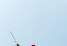 Cad Clinical Manifestations: Uncover Shocking Symptoms You Must Know