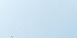 Cad Clinical Manifestations: Uncover Shocking Symptoms You Must Know