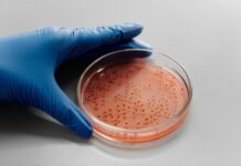 Clinical Research Associate Secrets: Unlock Career Growth Today