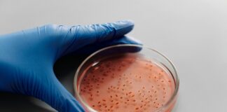 Clinical Research Associate Secrets: Unlock Career Growth Today