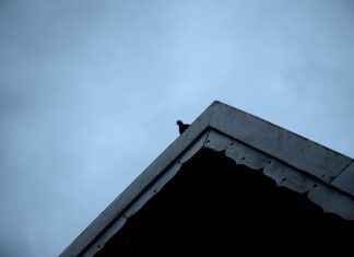 Sairaala vai terveyskeskuspäivystys – mihin mennä ja mitä odottaa? Sairaala vai terveyskeskuspäivystys – mihin mennä ja mitä odottaa?