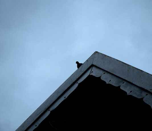 Sairaala vai terveyskeskuspäivystys – mihin mennä ja mitä odottaa? Sairaala vai terveyskeskuspäivystys – mihin mennä ja mitä odottaa?