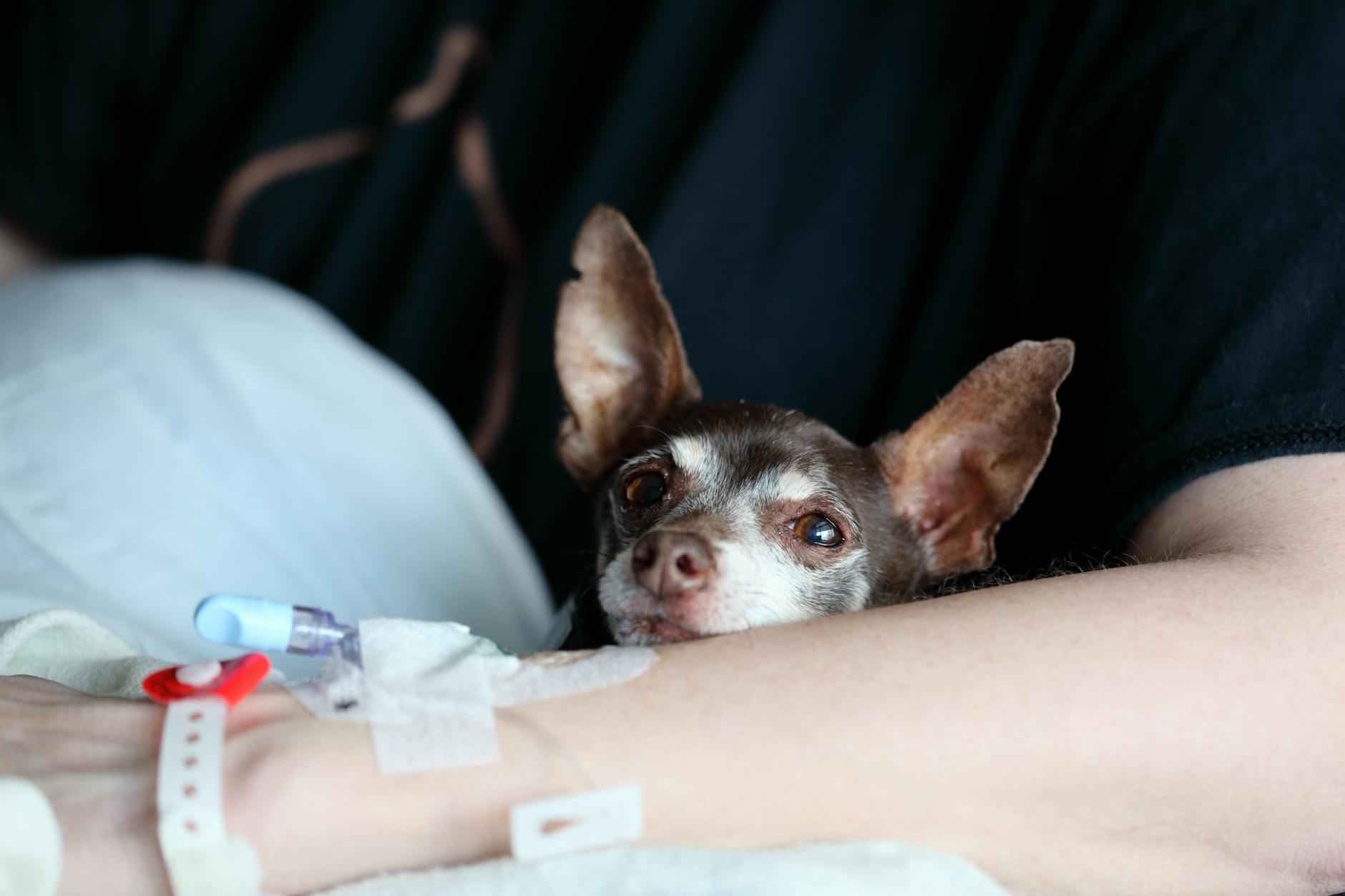 Follow-Up Care