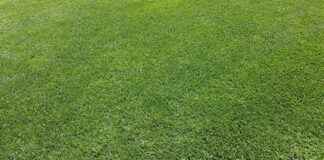 Urgencias vs. clínicas sin cita previa: ¿Cuál elegir en una emergencia? Urgencias vs. clínicas sin cita previa: ¿Cuál elegir en una emergencia?