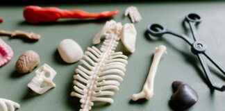 Utiliser Google Maps et les applis pour localiser un centre médical proche rapidement Utiliser Google Maps et les applis pour localiser un centre médical proche rapidement