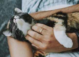 Waar vind je pediatrische spoedzorg zonder wachttijd? Waar vind je pediatrische spoedzorg zonder wachttijd?